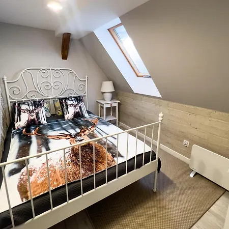 Las, Woda I Przygoda - Dom Z Sauna I Basenem Tatil Evi Choczewo