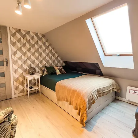 Las, Woda I Przygoda - Dom Z Sauna I Basenem Tatil Evi *