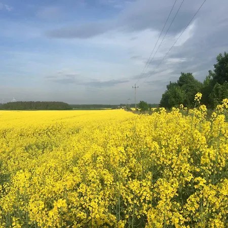 Las, Woda I Przygoda - Dom Z Sauna I Basenem Choczewo