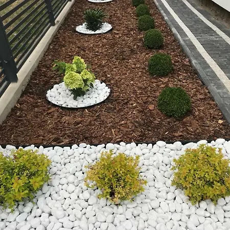 Las, Woda I Przygoda - Dom Z Sauną I Basenem Choczewo