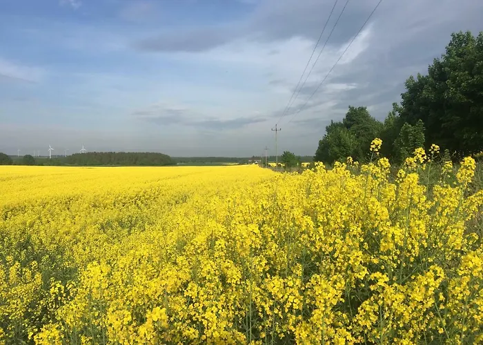 Las, Woda I Przygoda - Dom Z Sauna I Basenem Choczewo